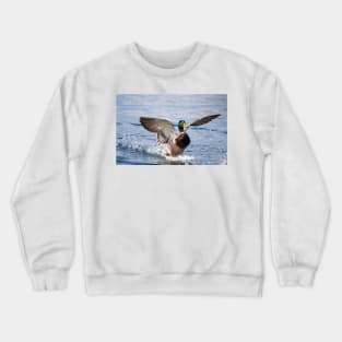 Happy Landing Crewneck Sweatshirt